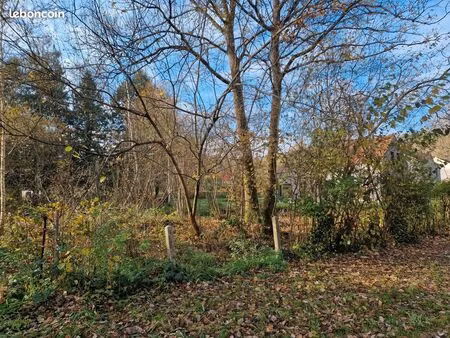 ? terrain à vendre – choisel (78460) – vallée de chevreuse■surface : 1 000 m² – terrain vi