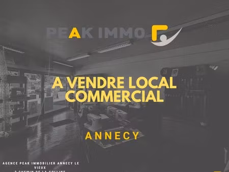 local commercial - 45m2 annecy - cave - 2 garages