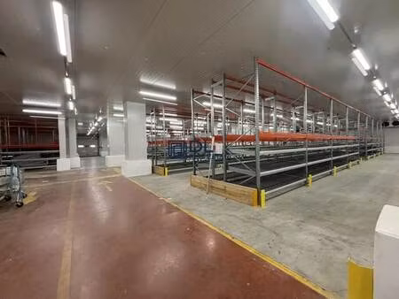 location entrepôt 1 830 m²