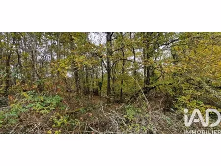 vente terrain 91662 m² bourgnac (24400)