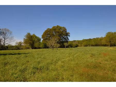 vente terrain 4522 m² montpon-ménestérol (24700)