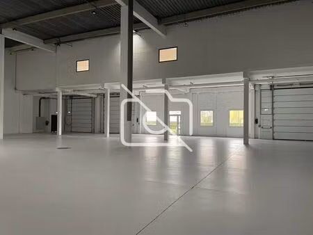 location entrepôt villeneuve-d’ascq 59650 1200m² à 1816m²