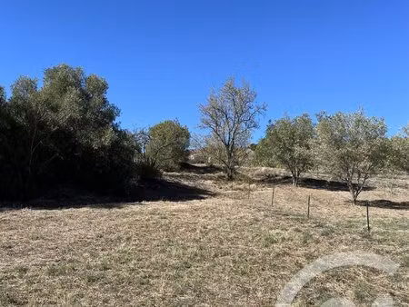 achat : terrain (11160)