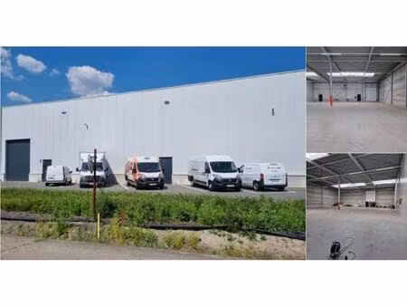 surface industrielle à louer à aartselaar (rbv66842)