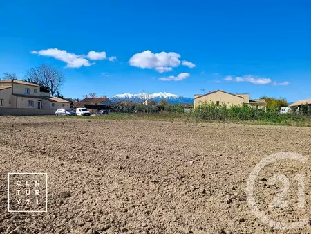 achat : terrain (66170)