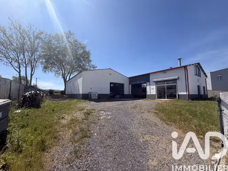 vente commerce 450 m² montblanc (34290)