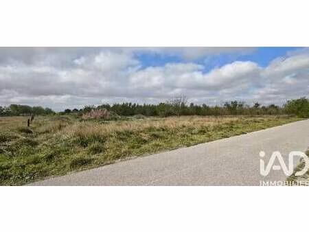 vente terrain à claira (66530) : à vendre / 7045m² claira