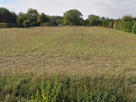 vente terrain à beaufort-en-anjou (49250) : à vendre / 1223m² beaufort-en-anjou