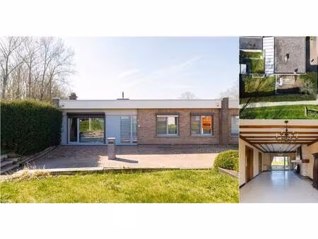 bungalow à vendre avec garage et terrasse   zottegem (rbv66293)
