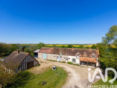 vente maison 10 pièces 224 m² château-renard (45220)