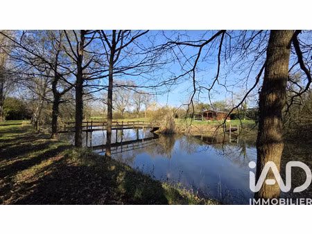 vente terrain 27398 m² candé (49440)