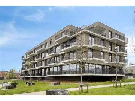 superbe appartement de service au rdc