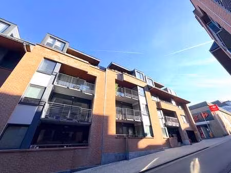 appart séjour+terrasse  1 ch  sdb  cave et pkg int.