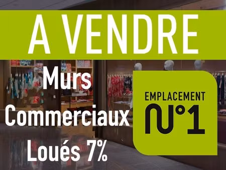 murs commerciaux renta 6.80% lyon