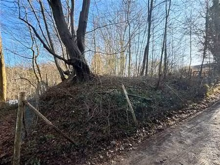 terrain dans un cadre bucolique !