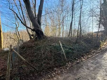 terrain dans un cadre bucolique !