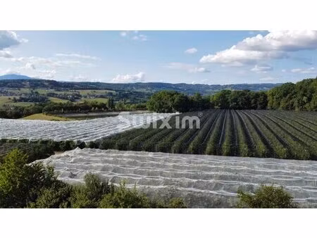 t3 de 60m2 rez-de-jardin