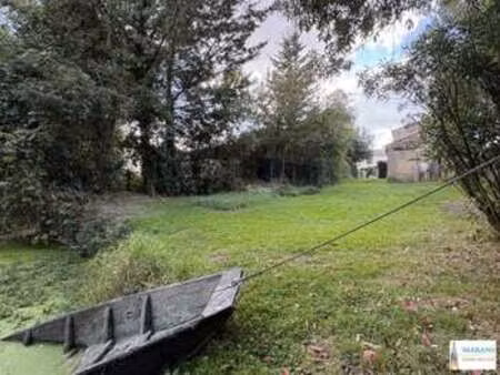 vente maison à la taillée (85450) : à vendre / 114m² la taillée