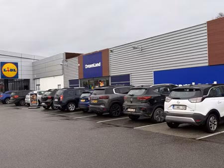 bien professionnel à louer à lanaken € 10.850 (ln2l4) - dg real estate | zimmo