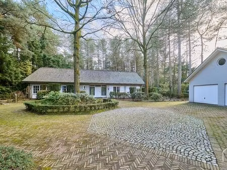 maison à vendre à neerpelt € 825.000 (ln1xc) - vastgoed coenjaerts | zimmo
