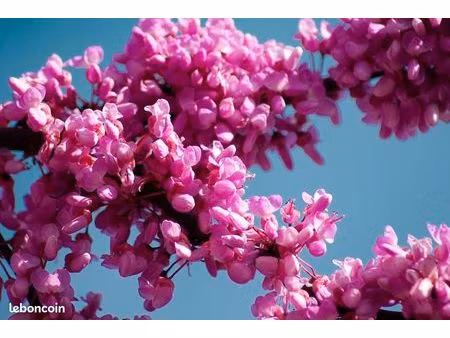 recherche à louer serre horticole dans toute la france