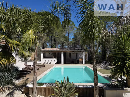 propriete en plein coeur de la pinede avec mas - langlade 3