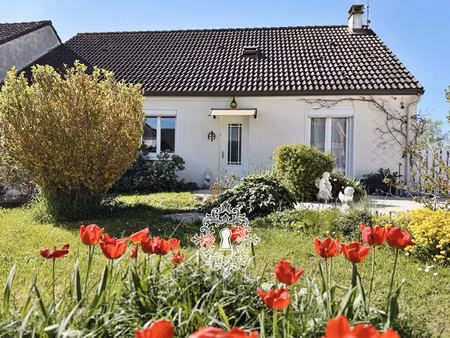 région bray sur seine