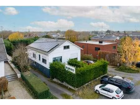 multifunctioneel pand met residentiële en professionele i...