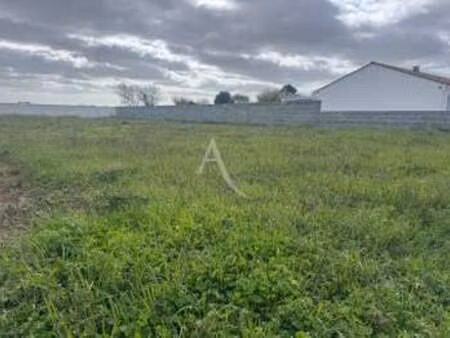 vente terrain à angles (85750) : à vendre / 550m² angles