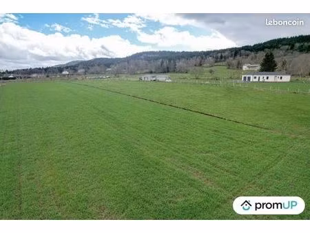 terrain 8 830 m² araules