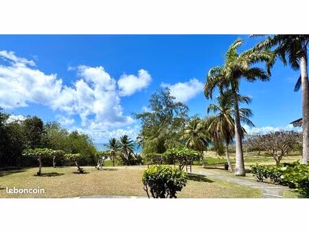 appartement 1 pièce 21 m²