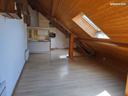 t3 + grande mezzanine avec cuisine intégrée