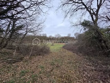 vente terrain 6260 m² à blanzay (86400)  11 000 €