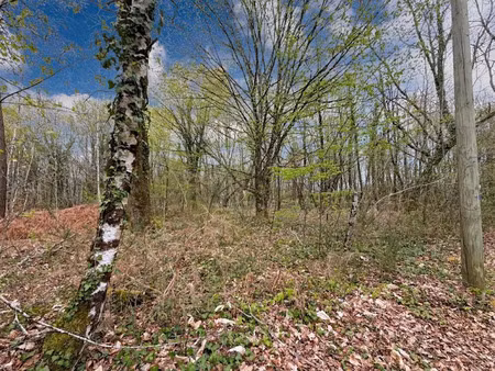 vente terrain à batir 1996 m² à sarliac-sur-l'isle (24420)  nan €