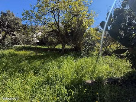 maison 3 pièces 1400 m²