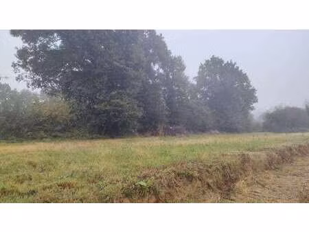 vente terrain à saint-domineuc (35190) : à vendre / 941m² saint-domineuc