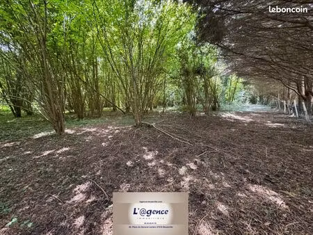 terrain 1 pièce 4500 m²