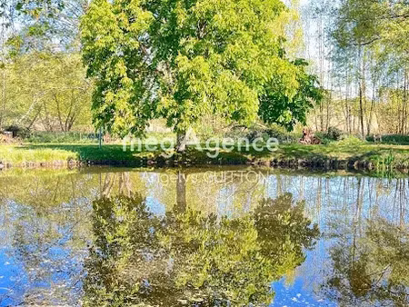 vente terrain 5761 m² à ecommoy (72220)  49 000 €