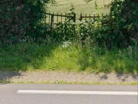 terrain de loisirs viabilisé région deauville pont situé a beuzeville