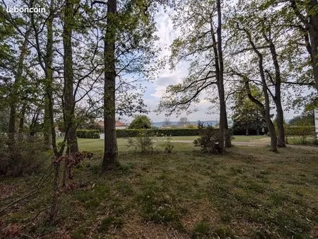 terrain plat boisée les monts