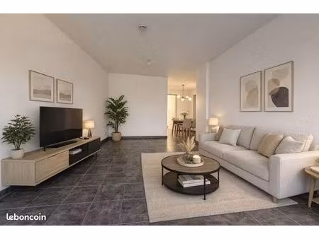 appartement 3 pièces 47 m²