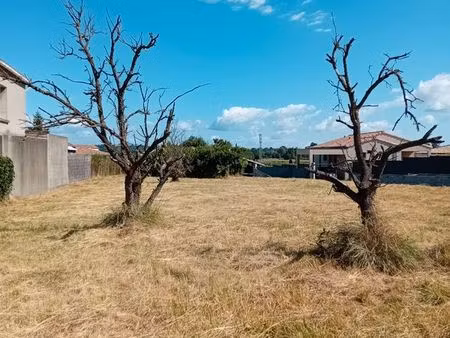 terrain constructible