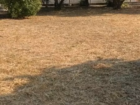 terrains viabilisés