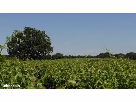 terrain 37281 m² vauvert