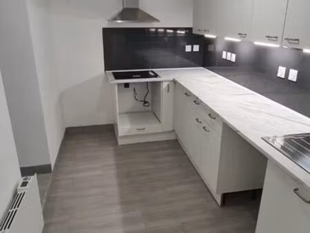 maison de village refaite à neuf en plein centre de villemur-sur-tarn à proximité des comm