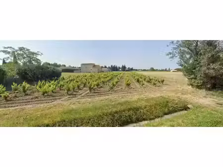 a vendre : terrain à bâtir violes ( 84150)