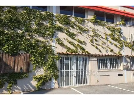 professionnel local commercial