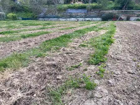 vente terrain 1455 m² à bourg sur gironde (33710)  84 000 €