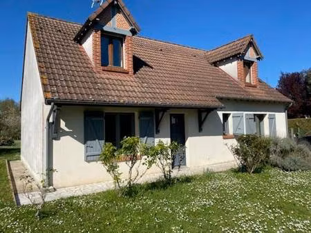 sud loire immobilier