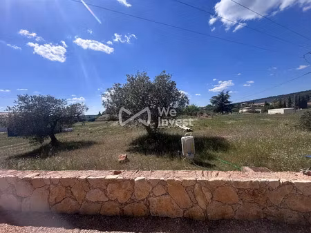 vente terrain à batir 999 m² à tavernes (83670)  116 000 €